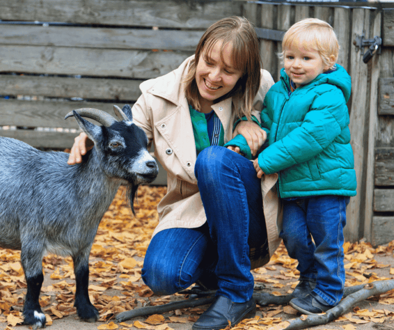 Woman with little boy petting a goat.
