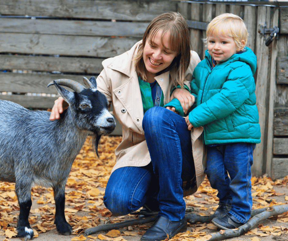 Woman with little boy petting a goat.